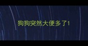 狗狗突然大便多了