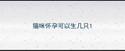 猫咪怀孕可以生几只