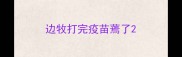 边牧打完疫苗蔫了