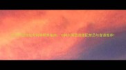 三个月边牧幼犬科学喂养指南10种水果蔬菜搭配禁忌与食谱推荐