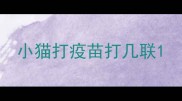 小猫打疫苗打几联