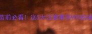 狗狗来打疫苗前必看这5大注意事项90的家长都忽略了