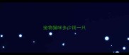 宠物猫咪多少钱一只