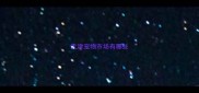 天津宠物市场有哪些