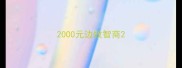 2000元边牧智商
