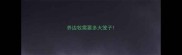 养边牧需要多大笼子