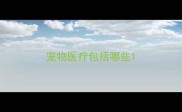 宠物医疗包括哪些