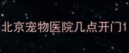 北京宠物医院几点开门