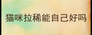 猫咪拉稀能自己好吗
