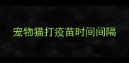 宠物猫打疫苗时间间隔