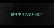 猫咪中耳炎怎么治疗