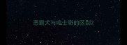 恶霸犬与哈士奇的区别