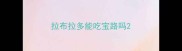 拉布拉多能吃宝路吗