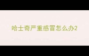 哈士奇严重感冒怎么办
