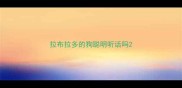 拉布拉多的狗聪明听话吗