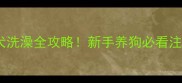 1个月大幼犬洗澡全攻略新手养狗必看注意事项