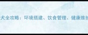 农村家庭饲养金毛犬全攻略环境搭建饮食管理健康维护与行为训练指南
