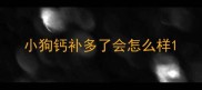 小狗钙补多了会怎么样