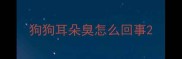 狗狗耳朵臭怎么回事