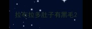 拉布拉多肚子有黑毛