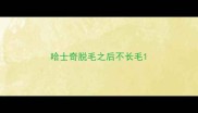 哈士奇脱毛之后不长毛