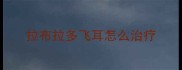 拉布拉多飞耳怎么治疗