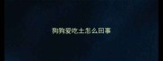 狗狗爱吃土怎么回事