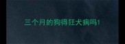 三个月的狗得狂犬病吗