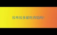 拉布拉多能吃肉馅吗