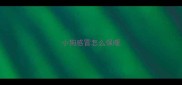 小狗感冒怎么保暖