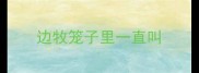 边牧笼子里一直叫