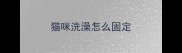 猫咪洗澡怎么固定
