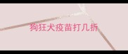 狗狂犬疫苗打几折