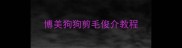 博美狗狗剪毛俊介教程