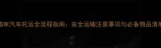 猫咪汽车托运全流程指南安全运输注意事项与必备物品清单