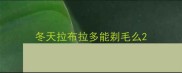 冬天拉布拉多能剃毛么