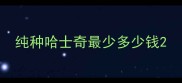 纯种哈士奇最少多少钱