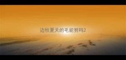 边牧夏天的毛能剪吗
