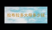 拉布拉多大母多少钱