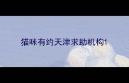 猫咪有约天津求助机构