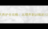 拉布拉多母犬养护全攻略从喂养到训练的12个关键细节