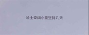 哈士奇细小能坚持几天