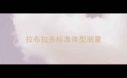 拉布拉多标准体型测量