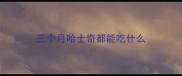 三个月哈士奇都能吃什么
