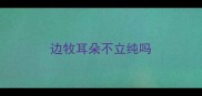 边牧耳朵不立纯吗