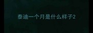 泰迪一个月是什么样子