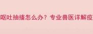 狗狗打完疫苗后呕吐抽搐怎么办专业兽医详解疫苗反应处理指南