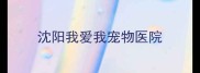 沈阳我爱我宠物医院