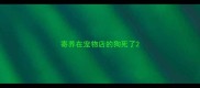 寄养在宠物店的狗死了