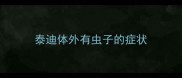 泰迪体外有虫子的症状